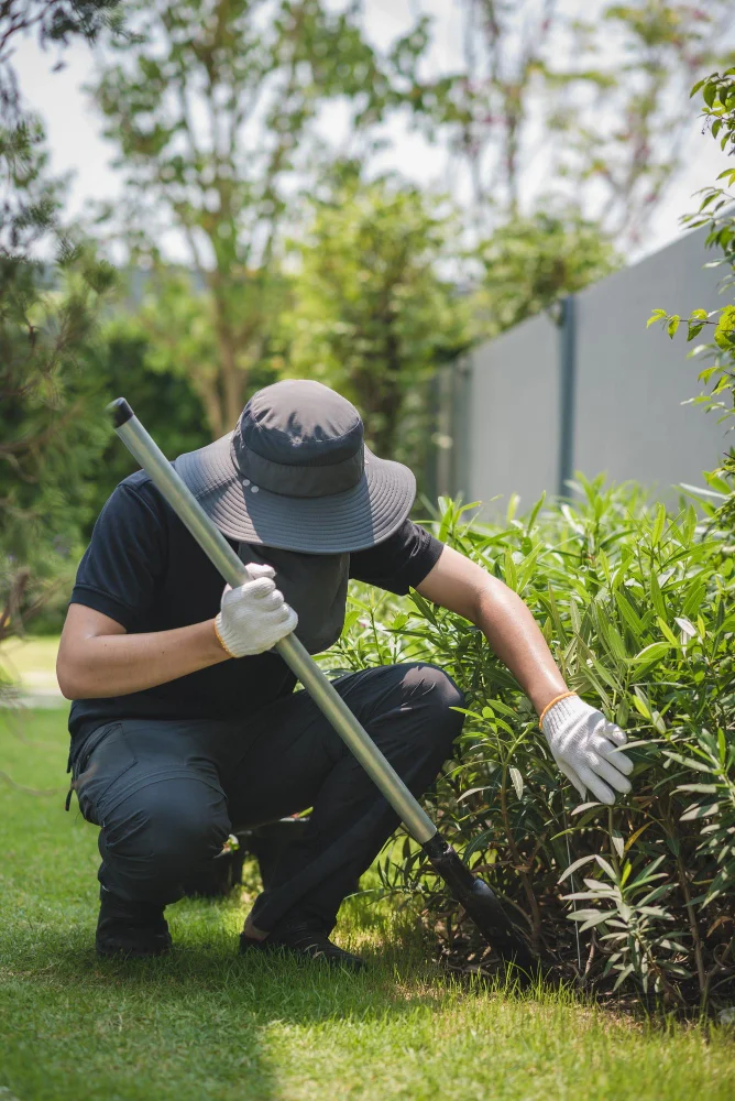 Lawn Care Programs and Lawn Treatments in Woodbridge