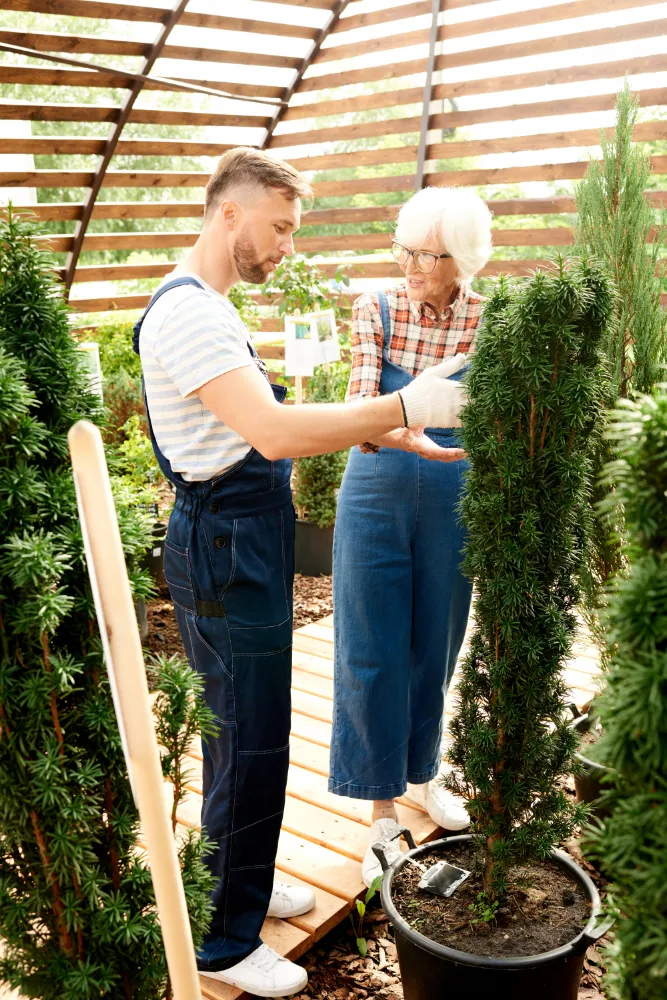 Lawn Care Programs and Lawn Treatments in Woodbridge