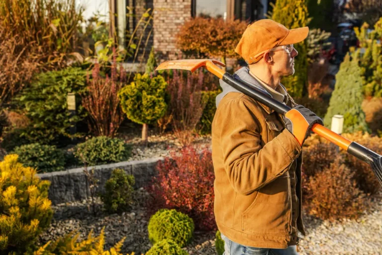 Lawn Care Programs and Lawn Treatments in Woodbridge