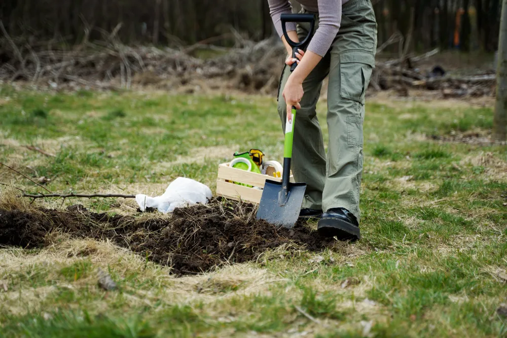 Lawn Care Programs and Lawn Treatments in Caledon East