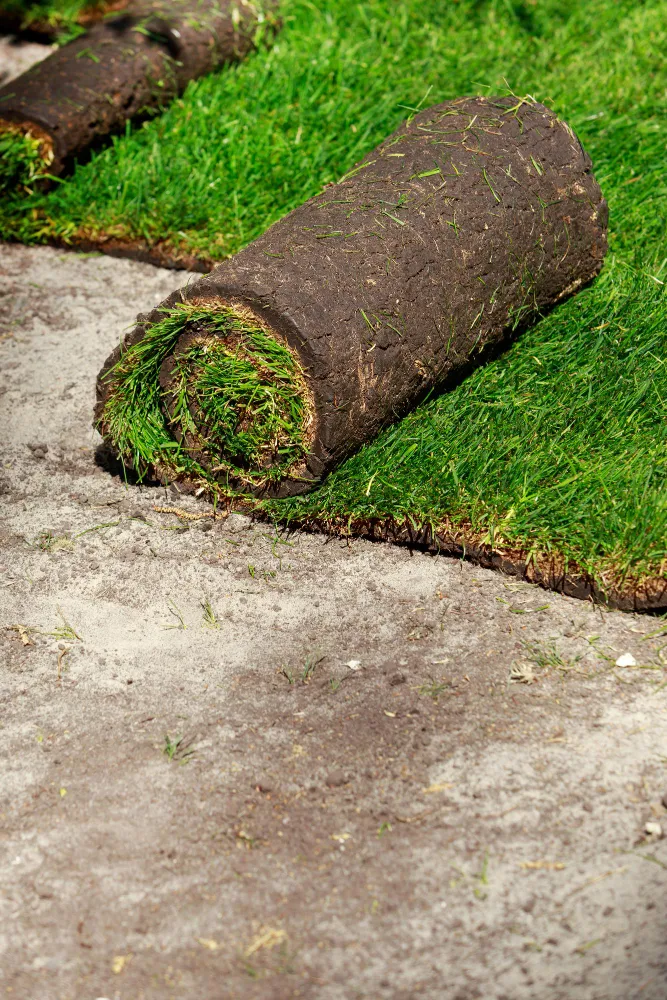 Lawn Care Programs and Lawn Treatments In Bolton